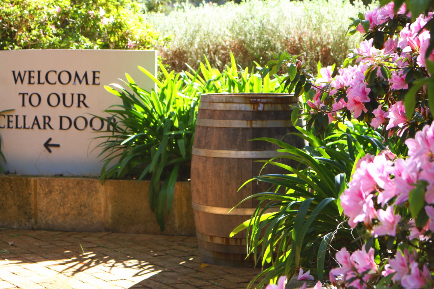 2025 Woodlands Sundowner