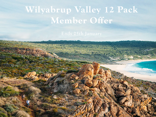 12 bottles of 2023 Wilyabrup Valley Chardonnay