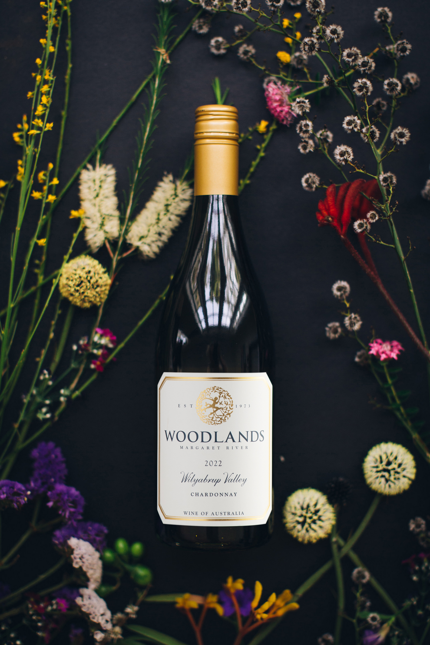 2022 Wilyabrup Valley Chardonnay